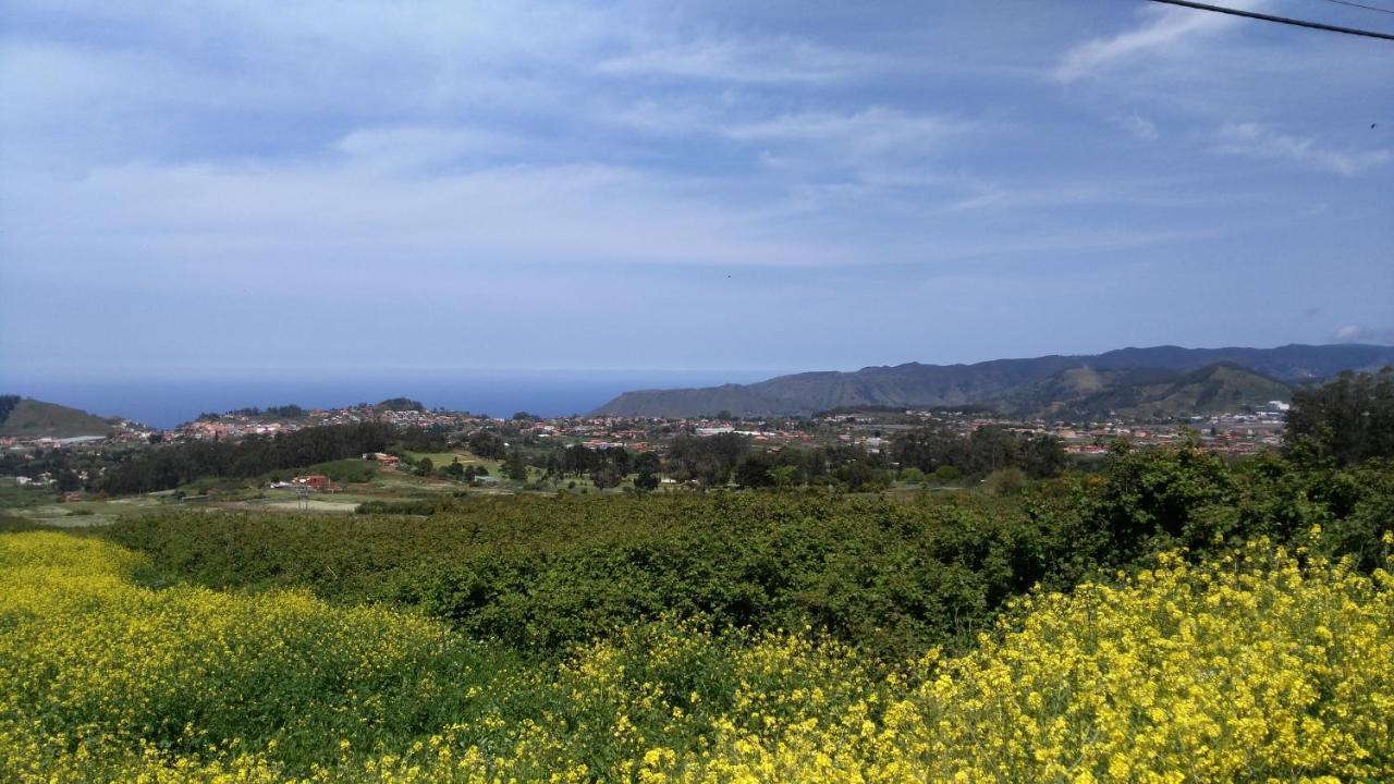 Apartamento privado en una zona tranquila y próxima al aeropuerto TF norte y a la ciudad de San Cristóbal de la Laguna . San Cristóbal de La Laguna Quarto foto